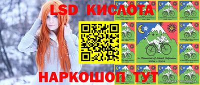 дмт Будённовск