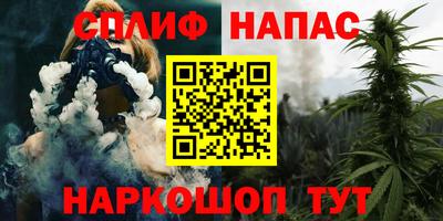 дмт Будённовск