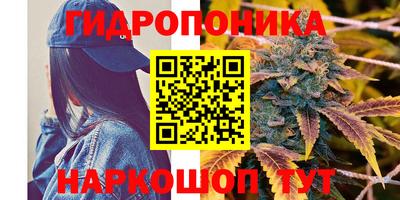 дмт Будённовск