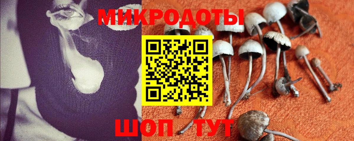 Петропавловск-Камчатский  Галлюциногенные грибы MAGIC MUSHROOMS  Вход с VPN 