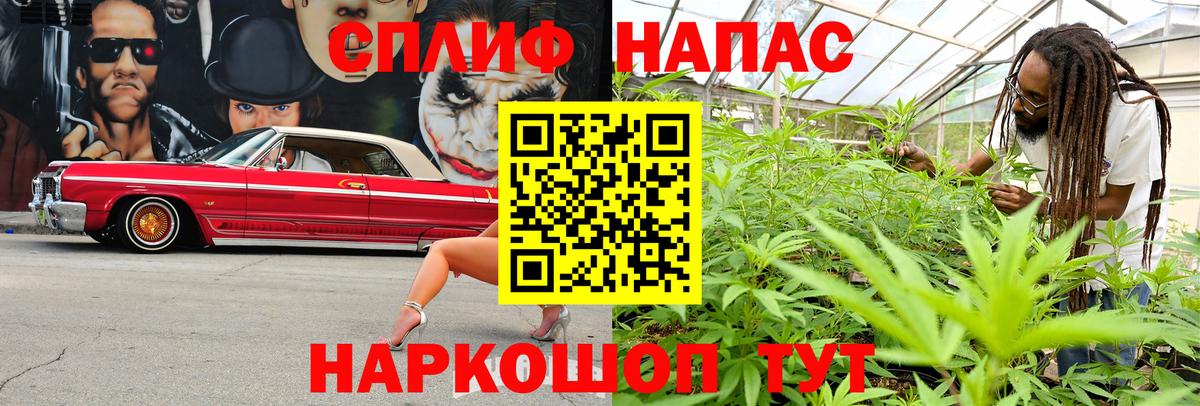 Бошки марихуана конопля Петропавловск-Камчатский